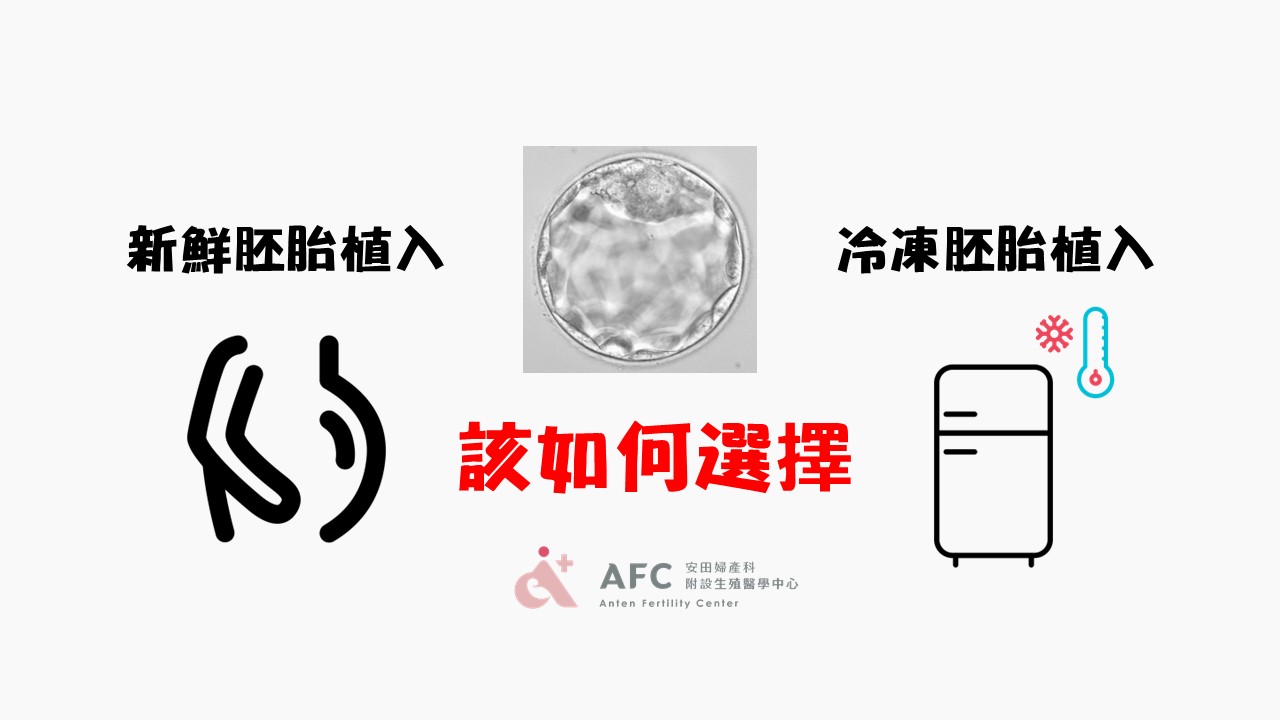 新鮮胚胎 vs 冷凍胚胎，該如何選擇?