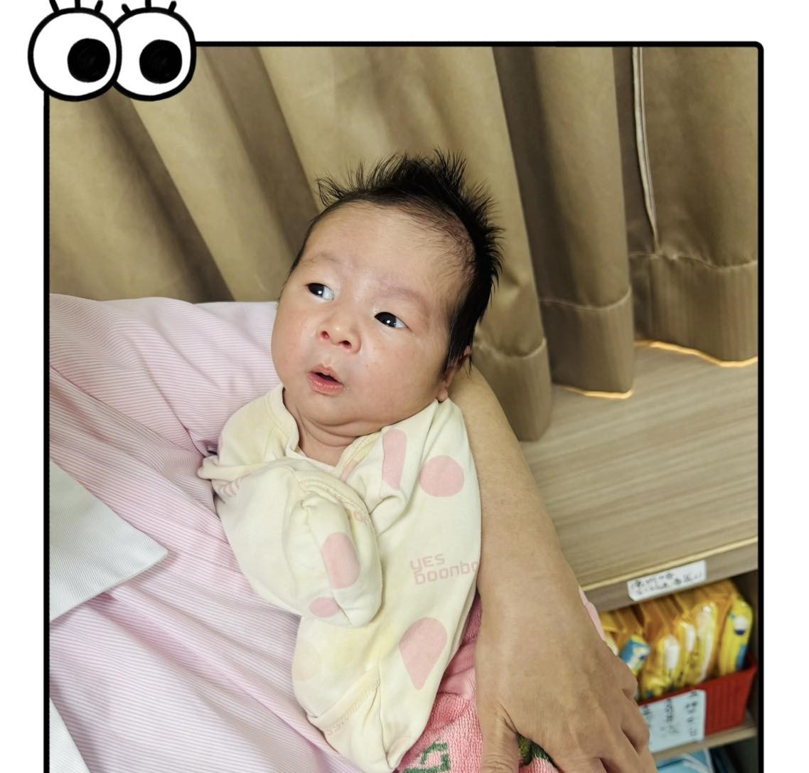 安田試管寶寶_元寶小王子